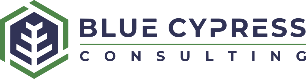 bc-consulting-color-1000w