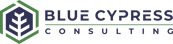bc-consulting-color-1000w